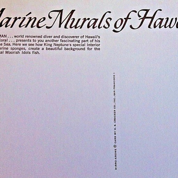 Vintage Postcard Marine Murals Hawaii Moorish Idols Fish & Black Coral Unposted - Picture 15 of 16